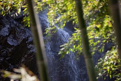 DF评2022年最佳画面游戏 《地平线：西之绝境》登顶